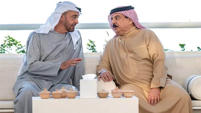 رئيس الإمارات وملك