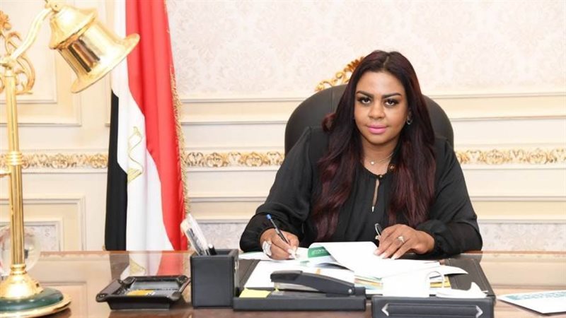 النائبة نفين حمدي