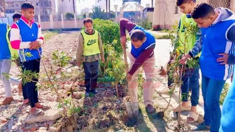 زراعة الأشجار