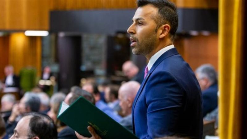 النائب الليبرالي