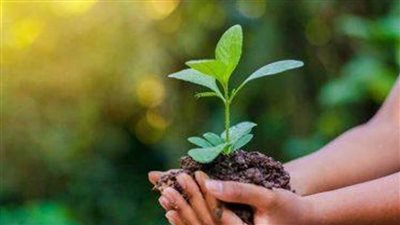 ٢٧ يناير يوم البيئة الوطني.. علامة فارقة في مسيرة العمل البيئي في مصر