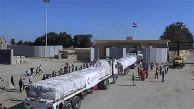 ألمانيا تدعو إسرائيل للسماح بإيصال المساعدات الإنسانية فورا إلى غزة