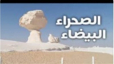 سياحة في الواحة.. الصحراء البيضاء بواحة الفرافرة كنز من عجائب الوادي الجديد