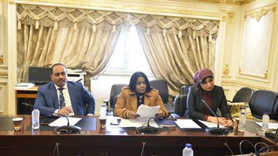 عضو إفريقية النواب: مصر بصدد الترشح لعضوية مجلس السلم والأمن الإفريقي 2024-2026