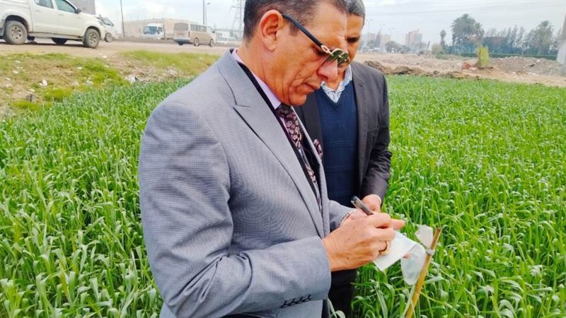 وكيل وزارة الزراعة