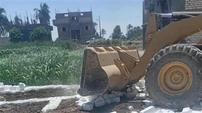 إزالة 41 حالة تعد على أراضي أملاك الدولة وأراضي زراعية بمحافظة الغربية