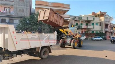 رفع القمامة وصيانة الإنارة العامة بشوارع كفر الشيخ