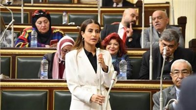 التعليم العالي تستجيب لإيلاريا حارص بشأن تنسيق طلاب الثانوية العامة برأس غارب