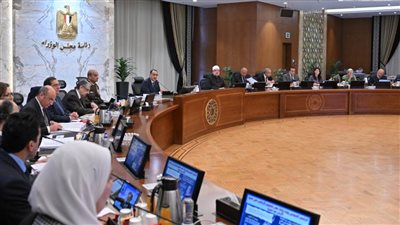 حظر شراء سيارات جديدة.. «الوزراء» يضع ضوابط جديدة لترشيد الإنفاق