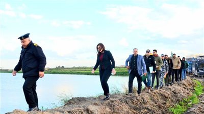 نائب محافظ البحيرة تقود حملة مكبرة لإزالة المزارع السمكية المخالفة بإدكو