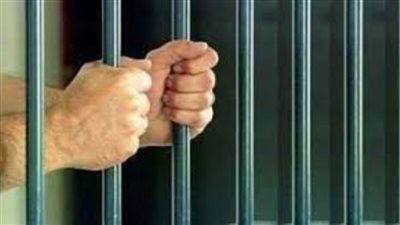 ضبط عنصرين إجراميين وبحوزتهما حصو هيروين خام وهيدرو بالدقهلية