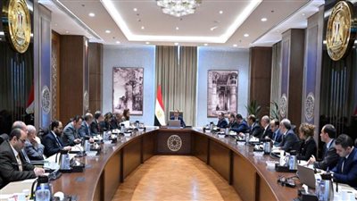 رئيس الوزراء يستعرض مُؤشرات الأداء بالمناطق الحرة ومعايير لإنشاء مناطق جديدة