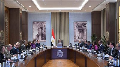 رئيس الوزراء يوجه بضرورة إعداد رؤية متكاملة لتصنيع مدخلات الإنتاج محليًا