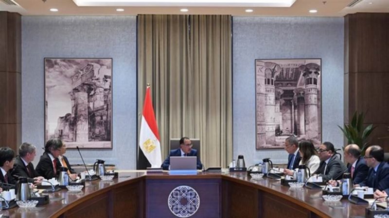 مدبولي يلتقي وفد