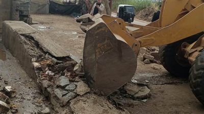 إزالة 66 حالة تعدٍ على الأراضي الزراعية وأملاك الدولة بالبحيرة