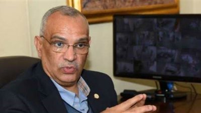 رئيس الجهاز القومي للتنسيق الحضاري: مشروع 