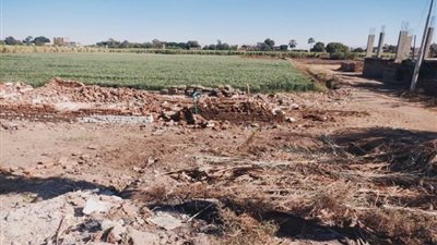 حملة مكبرة لإزالة التعديات على الأراضي الزراعية بالأقصر