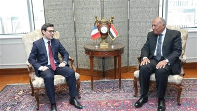 وزير الخارجية ونظيره الفرنسي يؤكدان عمق علاقات التعاون والتنسيق المشترك بين القاهرة وباريس