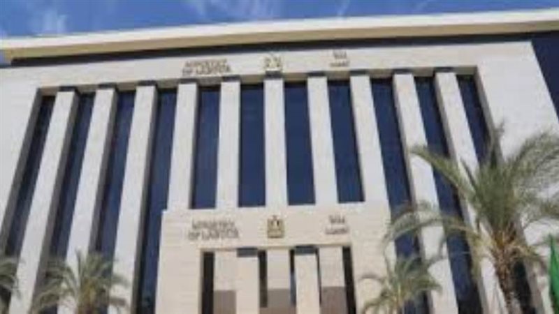 وزارة العمل