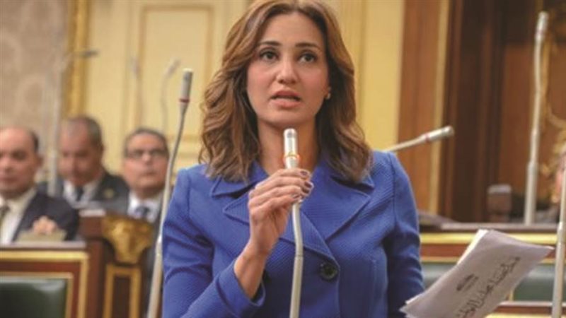 النائبة رغدة نجاتي