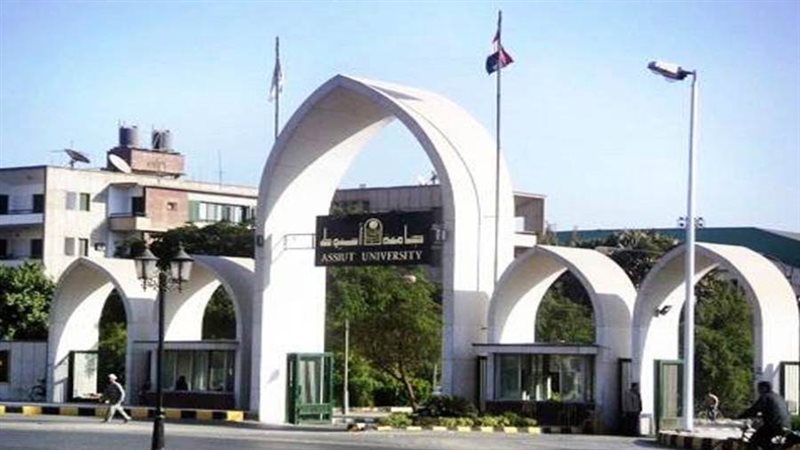 نائب رئيس جامعة أسيوط