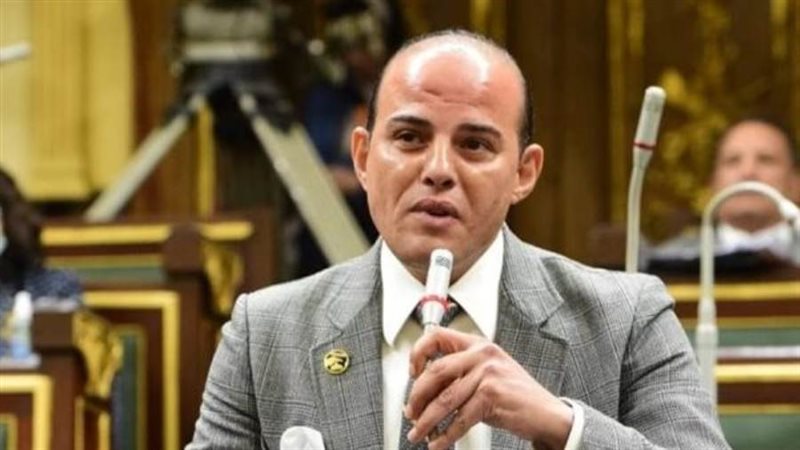 النائب عمرو القطامى