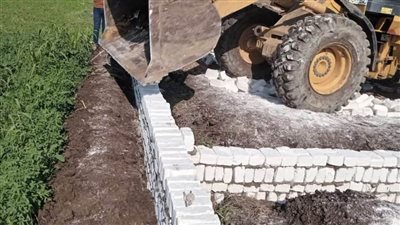 الموجة 22.. إزالة 101 حالة تعد على الأرض الزراعية وأملاك الدولة بالمنيا