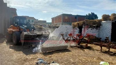 الموجة الـ 22 تزيل 25 حالة تعدٍ على أملاك الدولة بكفر الشيخ