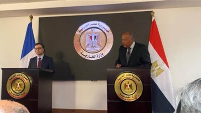 فرنسا: توافق فى مواقف القاهرة وباريس لصالح حل سياسي للصراع الإسرائيلي الفلسطيني وخفض التصعيد