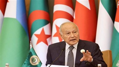  أبوالغيط يدعو المجتمع الدولي للدفاع عن 