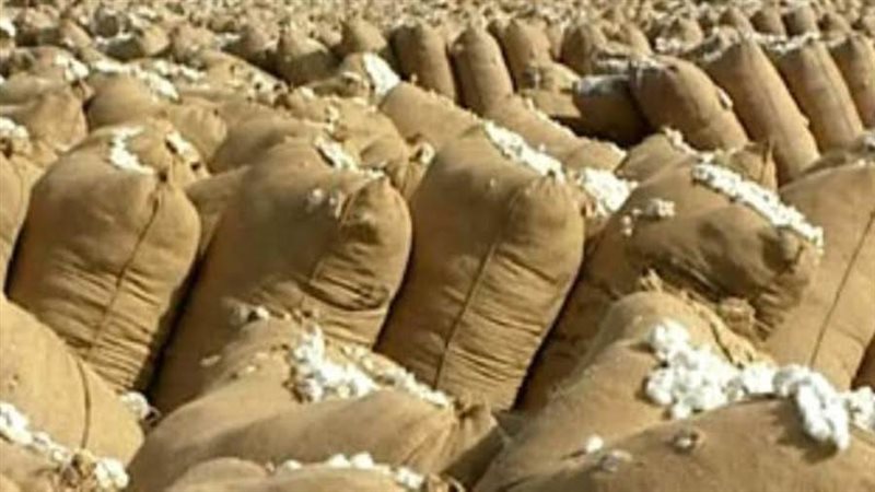 أجولة أقطان معبأة