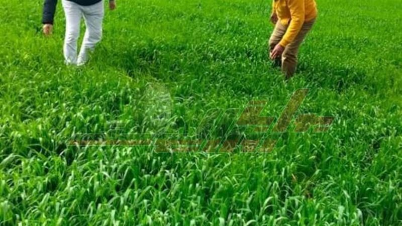 ندوات توعوية