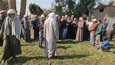 تفاصيل أنشطة معهد أمراض النباتات خلال يناير 2024