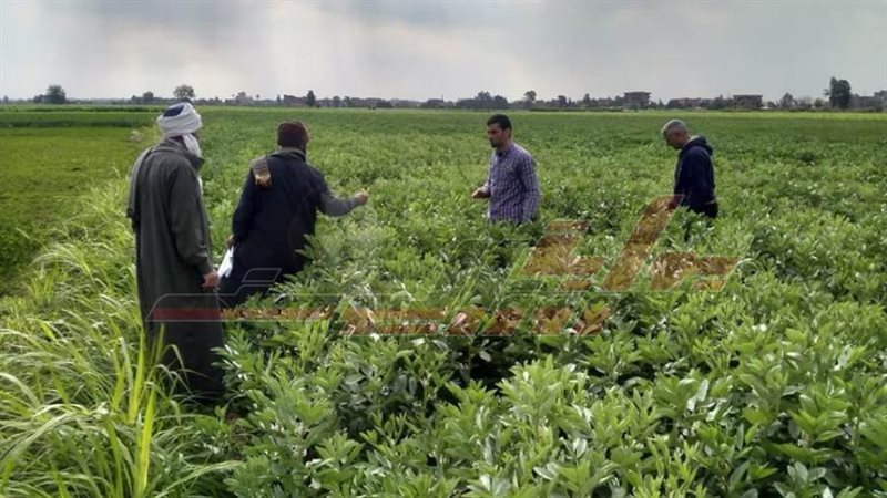 الإرشاد الزراعي