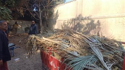 حملة مكبرة بالإسماعيلية لرفع المخلفات والجريد بمقابر المسلمين