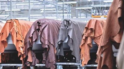 رئيس الجلود المتطورة: المصانع تتطلع لزيادة صادراتها وتعزيز العوائد الأجنبية