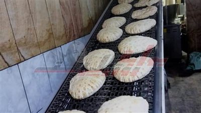 تحرير 10 محاضر متنوعة بالحملات التموينية للرقابة على مخابز كفر الشيخ