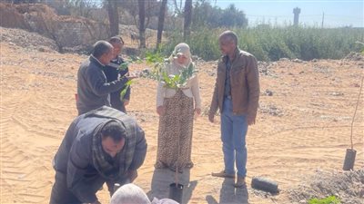 محافظ أسيوط: استمرار تنفيذ مبادرة زراعة 100 مليون شجرة بالطرق والمحاور