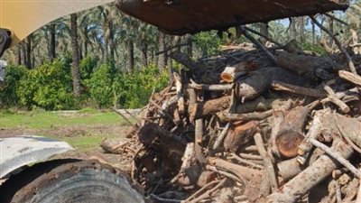 إزالة 54 حالة تعدٍ على الأراضي الزراعية وأملاك الدولة بالبحيرة