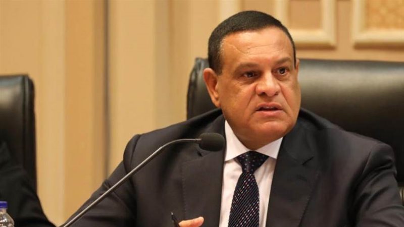 وزير التنمية المحلية