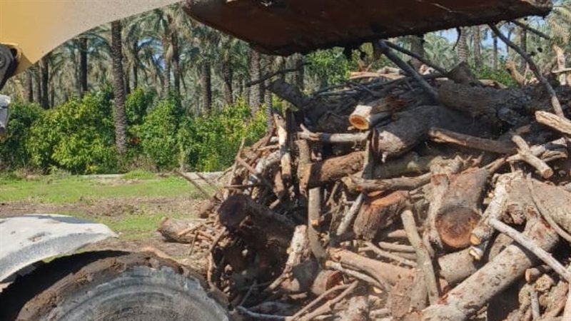 إزالة 54 حالة تعد