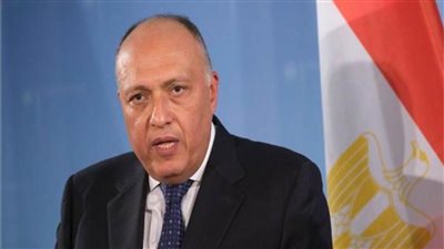 وزير الخارجية ونظيرته السلوفينية يؤكدان ضرورة الوقف الفوري لإطلاق النار في غزة