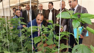 فرق تقييم مسابقة الجامعة الذكية الخضراء تواصل زياراتها بجامعة بنها