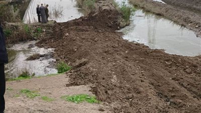 حماية البحيرات وتنمية الثروة السمكية تزيل 4 حالات تعدٍ على 104 أفدنة بكفر الدوار 