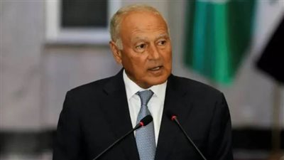 أبو الغيط: نسعى لتطبيق مفهوم حل الدولتين وإقامة الدولة الفلسطينية