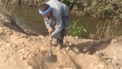 المنيا.. زراعة 205 شجرات مثمرات في مطاي وسمالوط ضمن 100 مليون شجرة