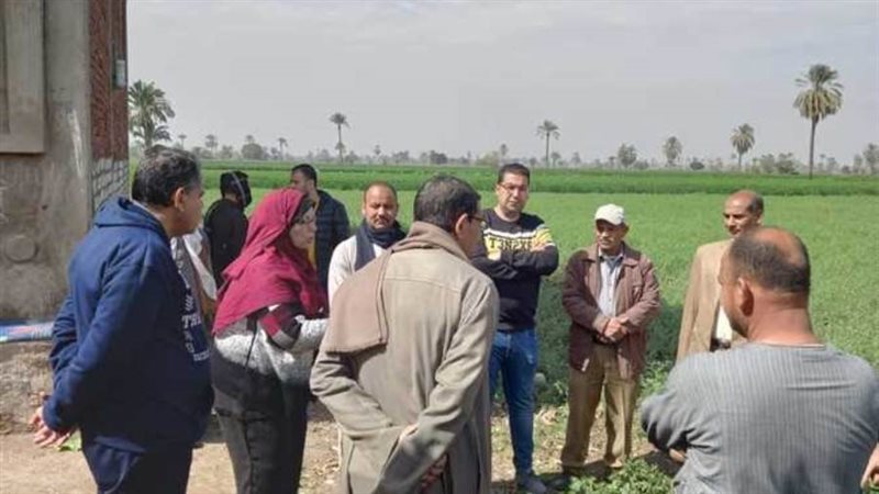 زراعات البنجر ببنى