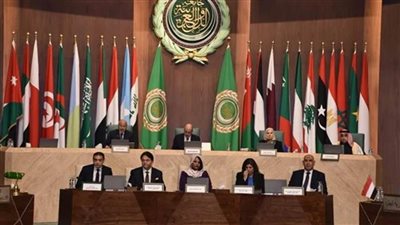 أبو الغيط يدعو إلى وضع خطة عمل عربية عاجلة لتنفيذ وثيقة الاستجابة الإنسانية في فلسطين