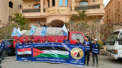أمانة القاهرة بحزب حماة الوطن ترسل قافلة مساعدات إلى الأشقاء بـ