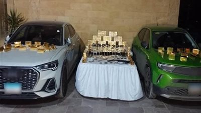 ضبط عنصرين إجراميين بحوزتهما 160 كجم حشيش بقيمة 8 ملايين جنيه